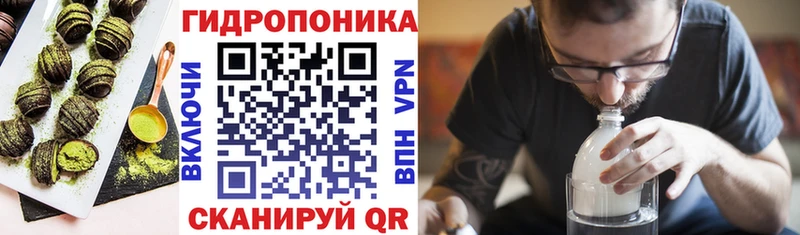 ОМГ ОМГ ТОР  Абакан  Печенье с ТГК конопля 