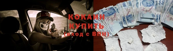 трава Абаза