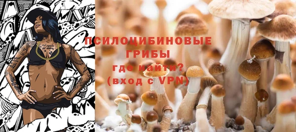 дживик Алексеевка